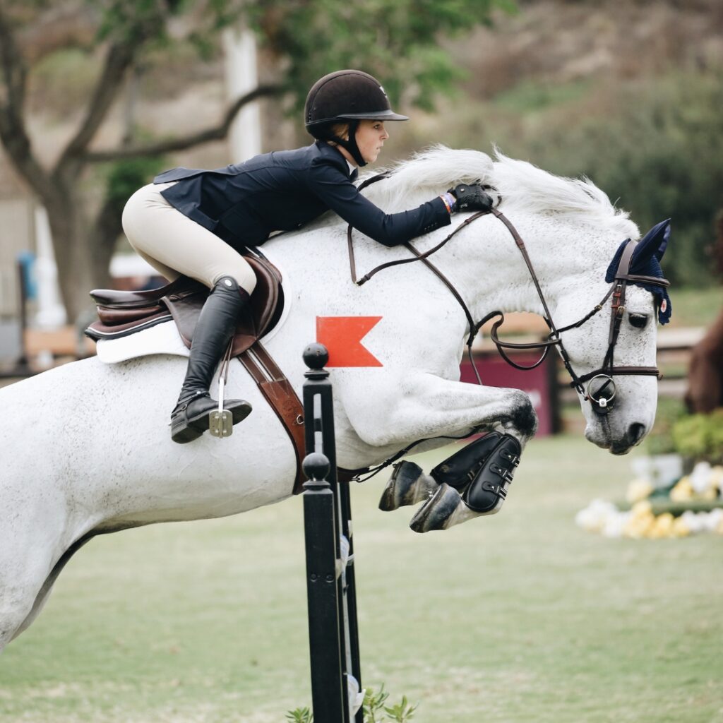 The Base of Support for Good Horsemanship - The Riding Instructor