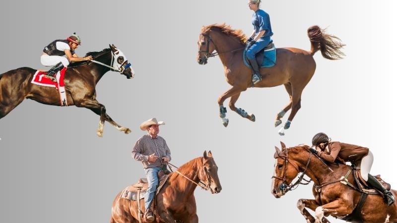 The Base of Support for Good Horsemanship - The Riding Instructor