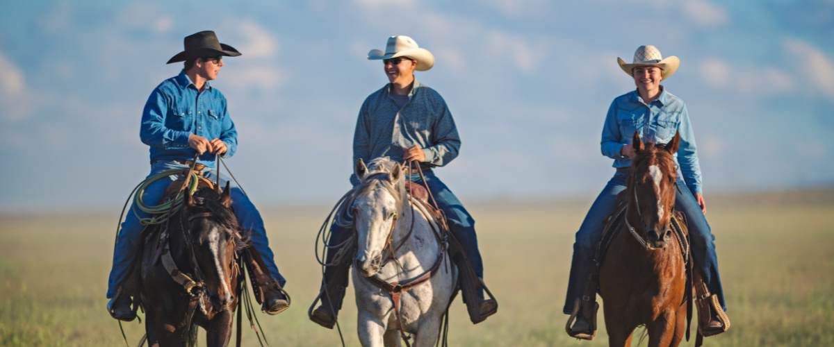 When Collection Isn’t Collection—And Pressure Isn’t Horsemanship - The ...